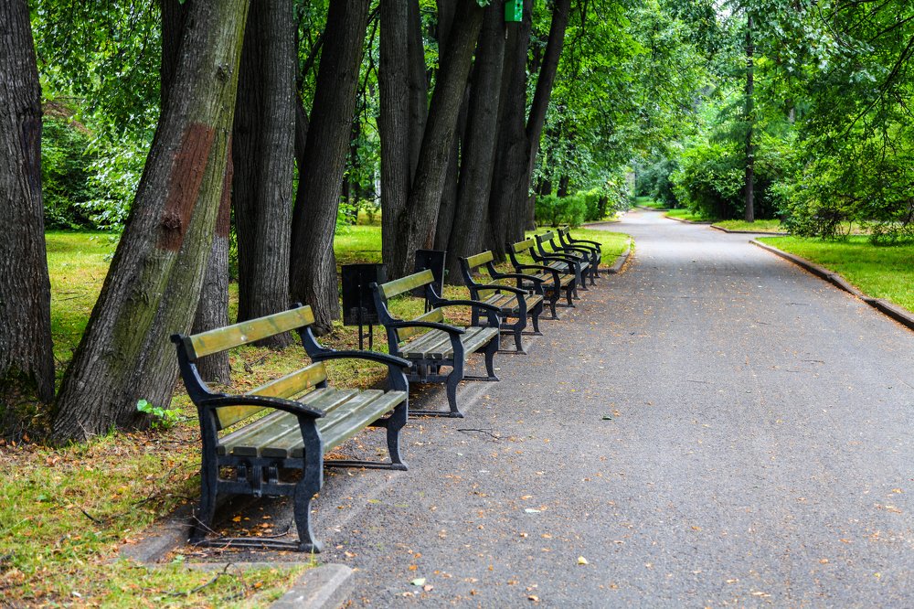 Photograph by Александр Лапшин