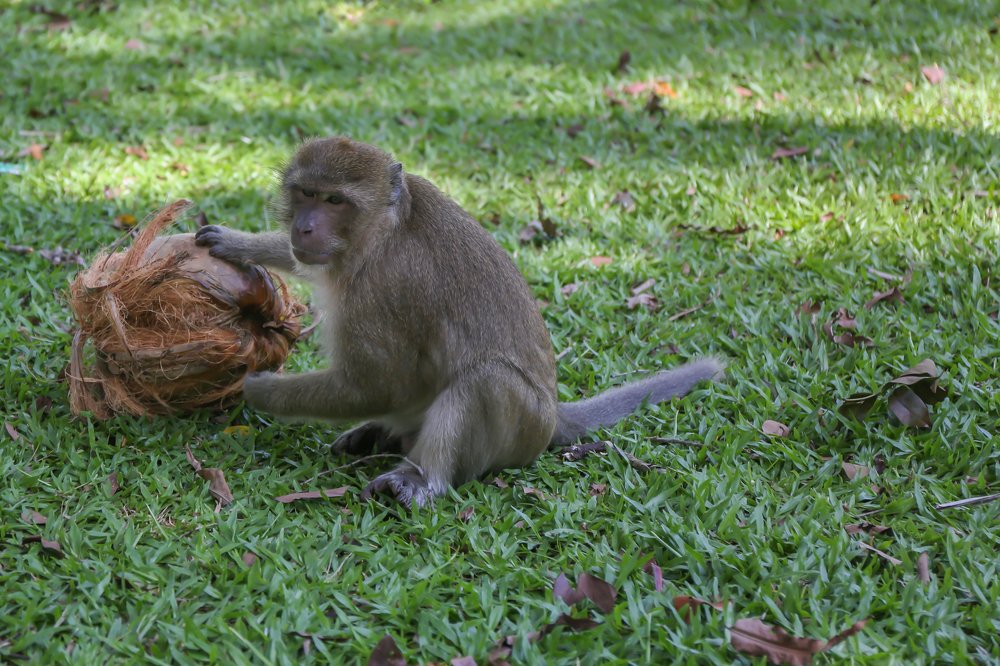 Photograph by Сергей Романченко