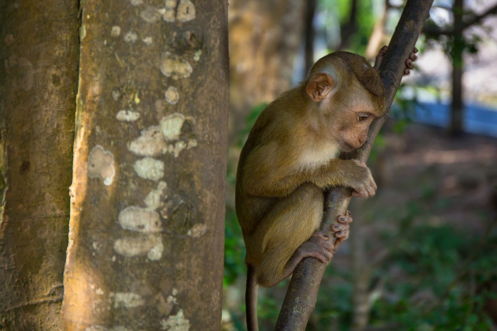 Photograph by Сергей Романченко