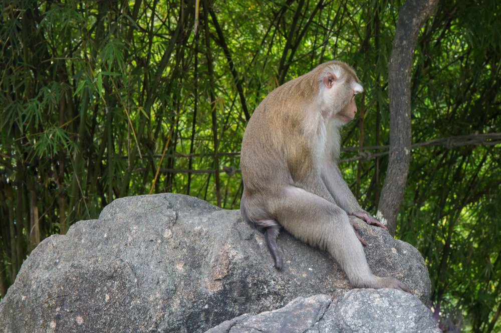 Photograph by Сергей Романченко