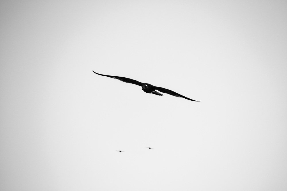 Photograph by Юлия Брежнева