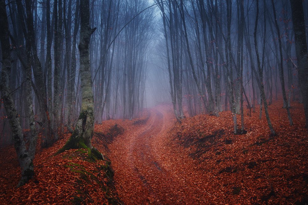 Photograph by Oleg Feofanov