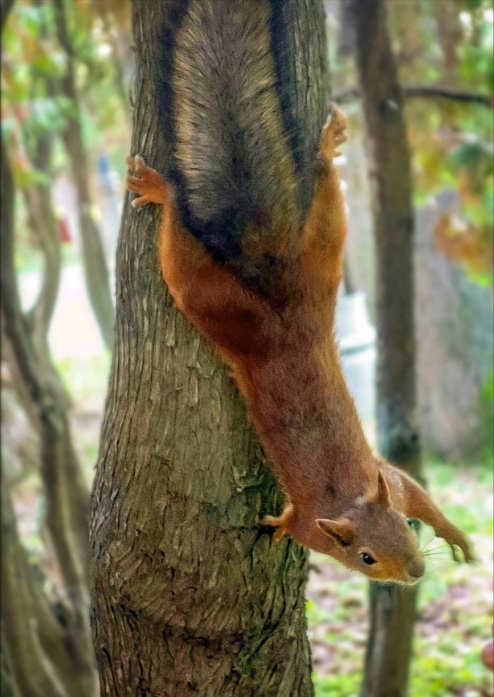 Давайте поздороваемся!