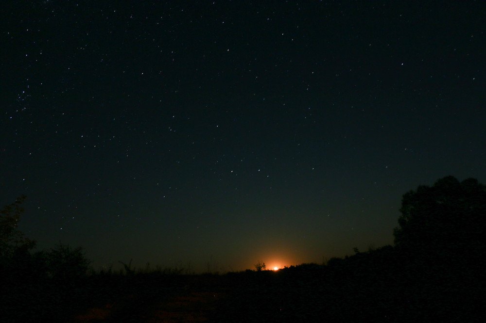 Photograph by Olga Berlet