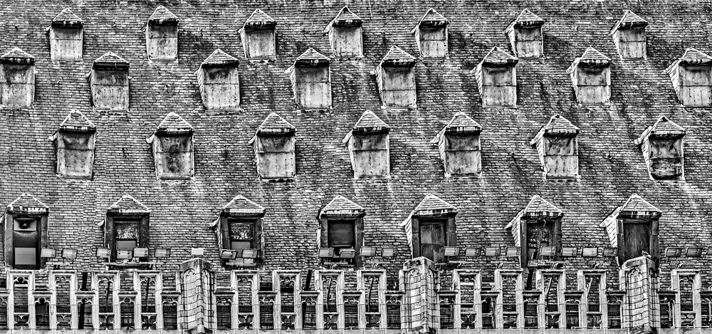 Photograph by Octavian Timosco