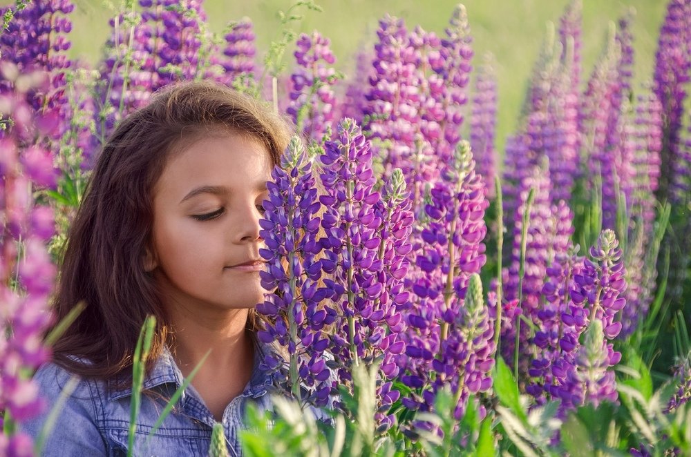 Фотография автора Майя Афзаал