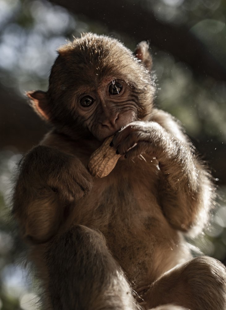 Photograph by CHRISTIAN LAMPIS