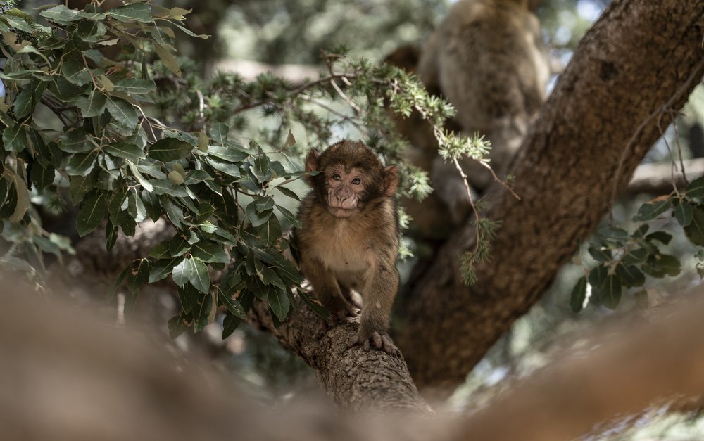 Photograph by CHRISTIAN LAMPIS