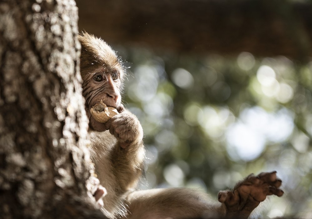 Photograph by CHRISTIAN LAMPIS