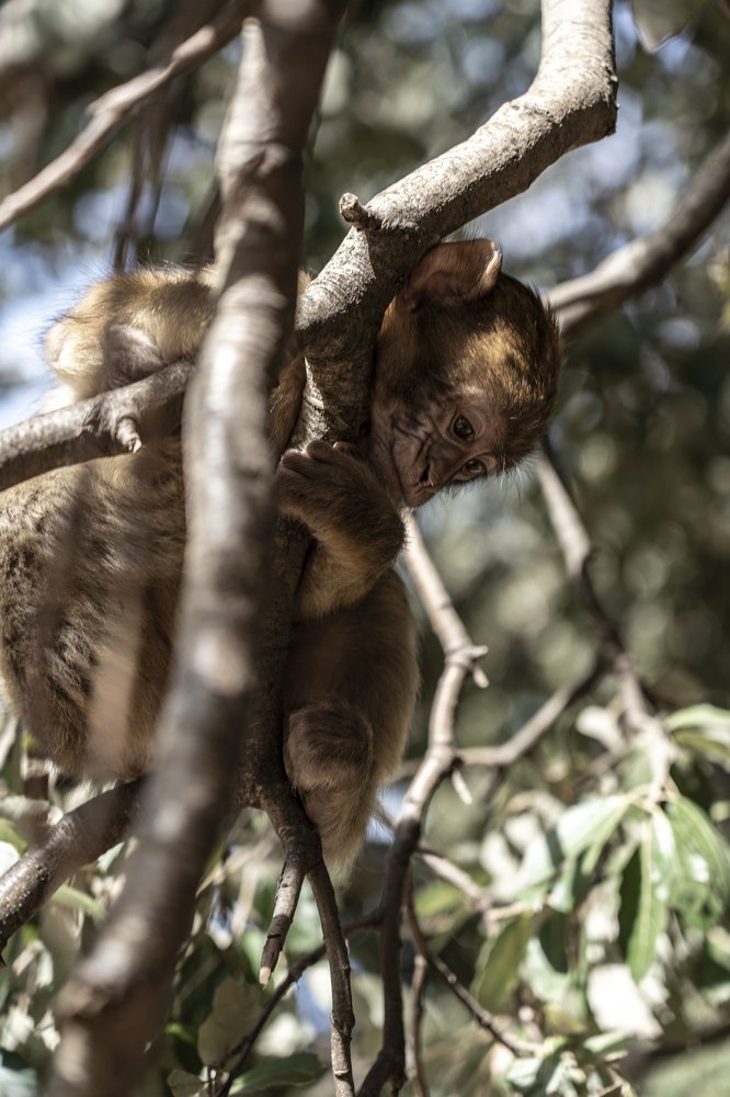 Photograph by CHRISTIAN LAMPIS