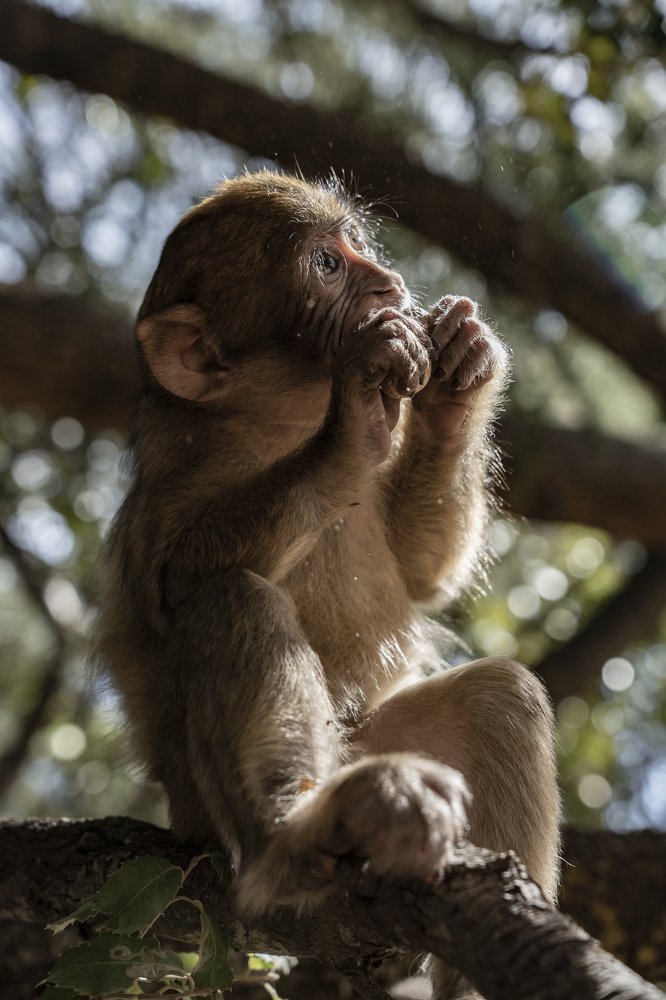 Photograph by CHRISTIAN LAMPIS