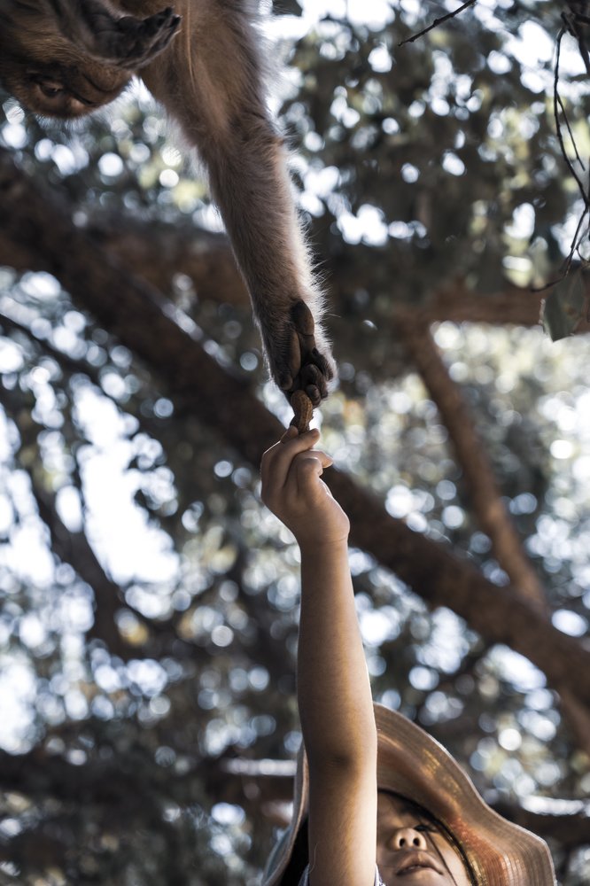 Photograph by CHRISTIAN LAMPIS