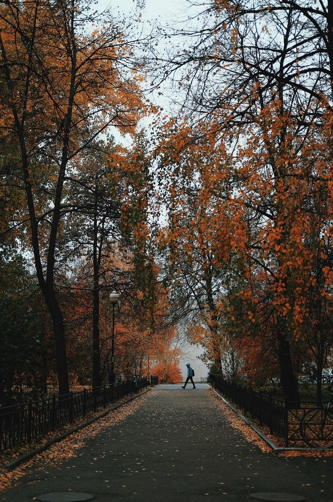 Photograph by Аида Фай