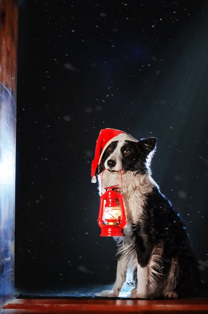 Photograph by Екатерина Кикоть