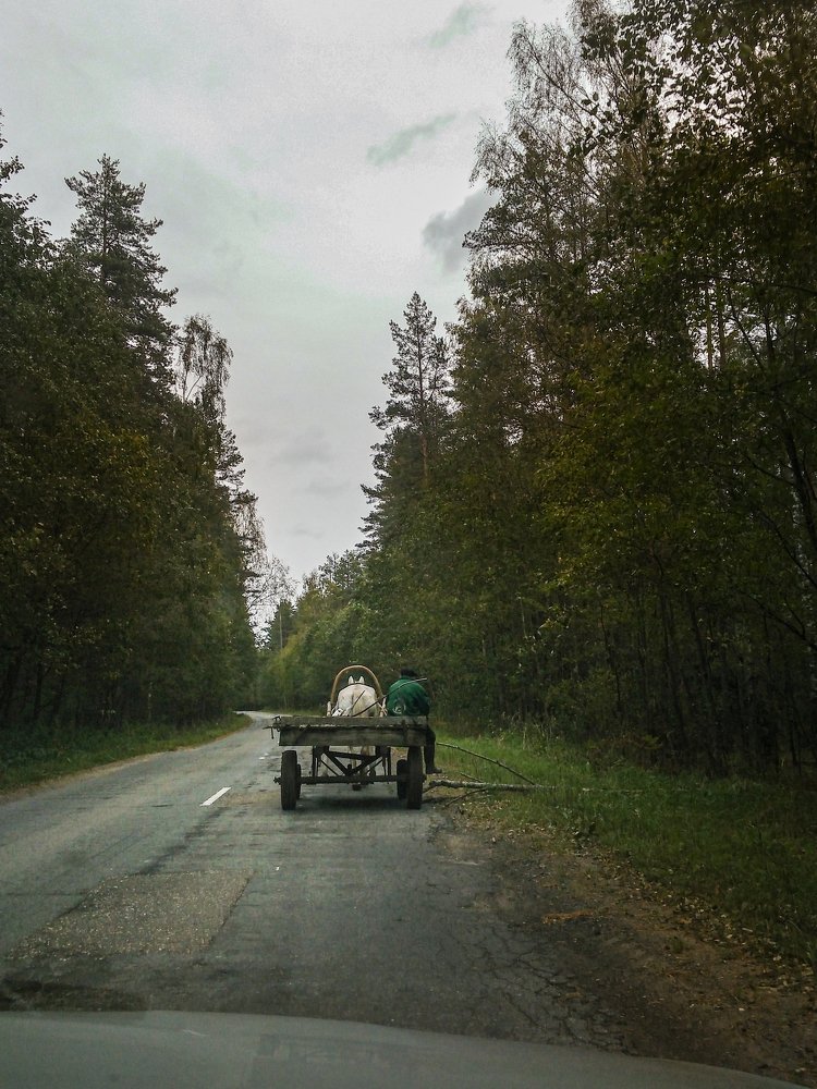 Photograph by Анастасия Павлова