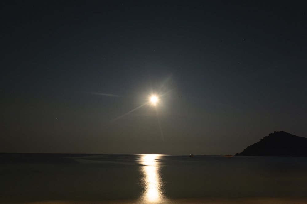 Photograph by Михаил Ноеренчук