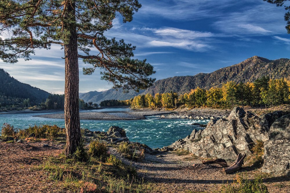 Фотография автора Марина Юдинских