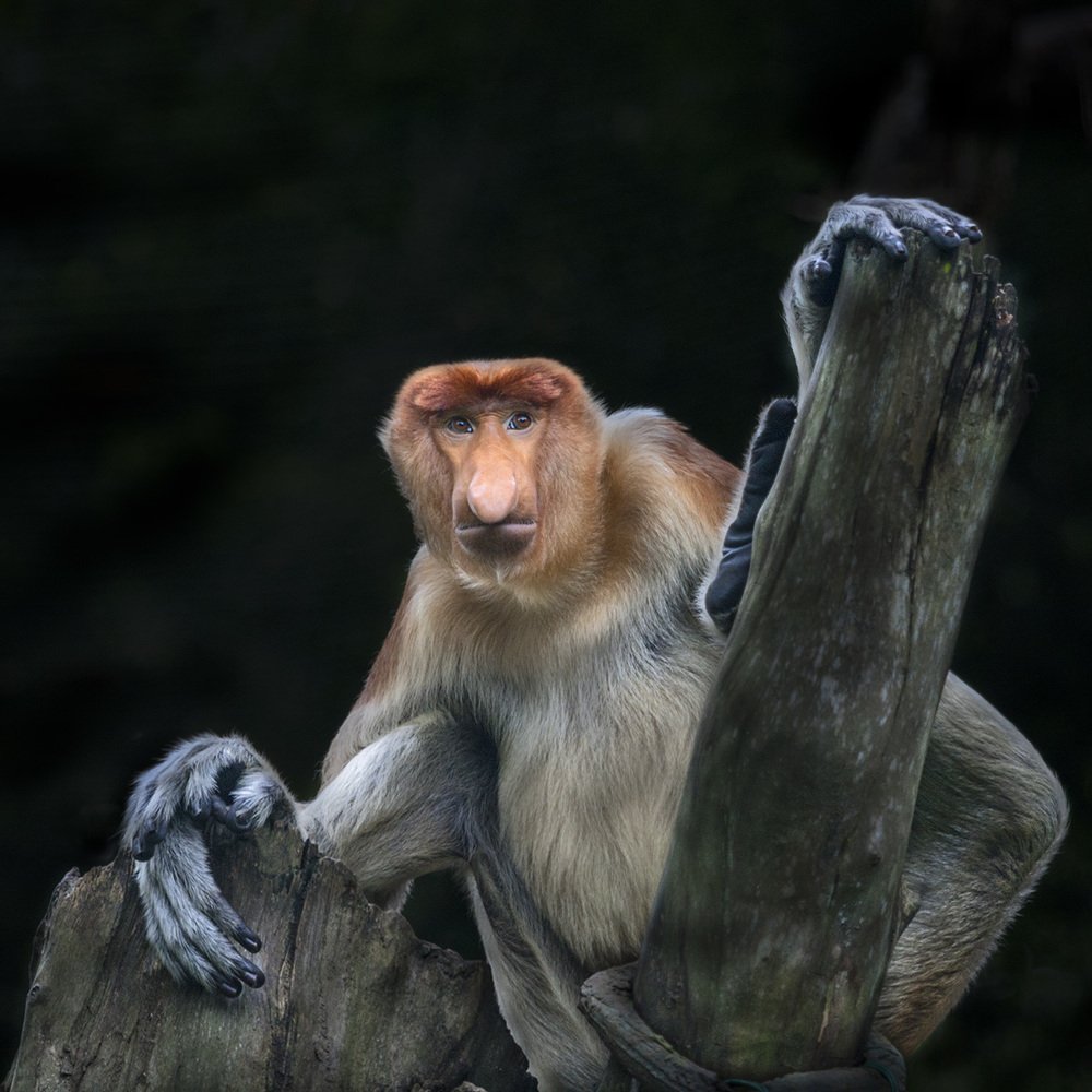 Photograph by Анатолий Макоедов