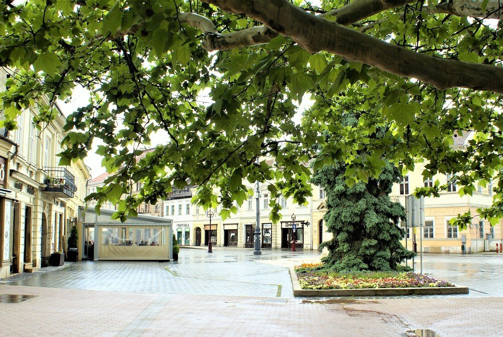 Photograph by Kálmán Rádai