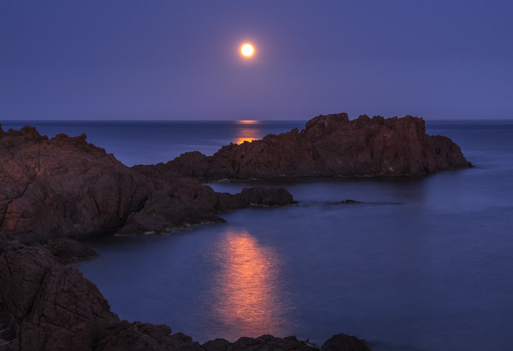 Photograph by Natalia