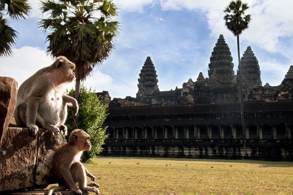 Photograph by Олег Ведерников