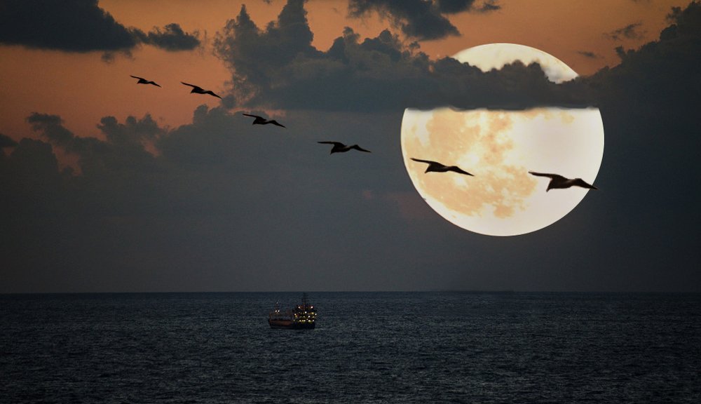 Photograph by Яков