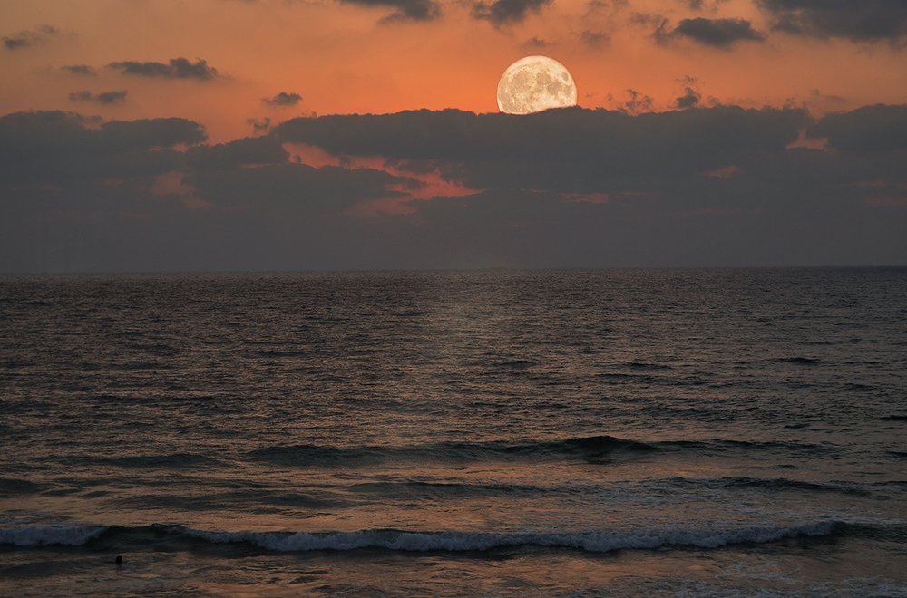 Photograph by Яков