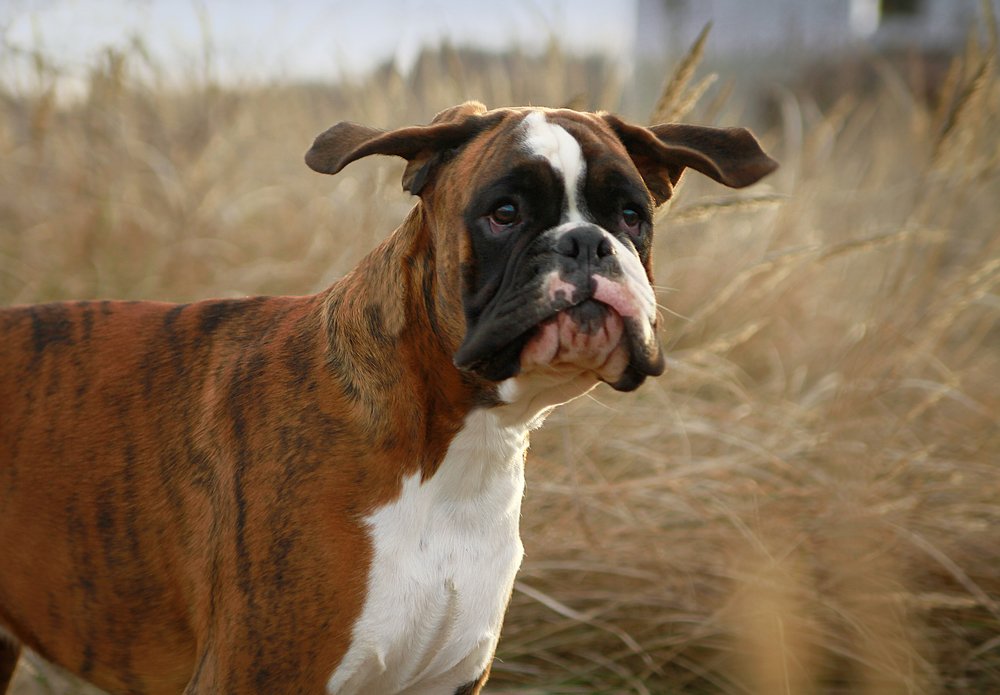 Photograph by Титаренко Ольга