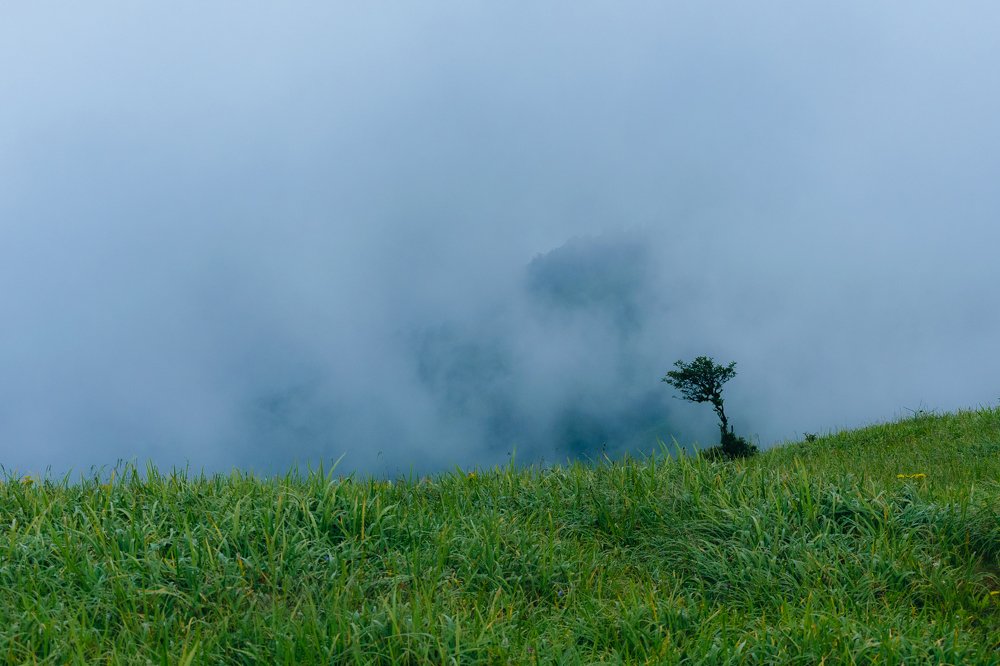 Photograph by Vivek Prasad