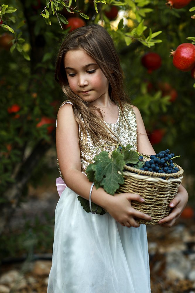 Photograph by Elena Sportes