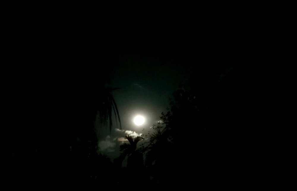 Photograph by DEEPSHIKHA KEOT