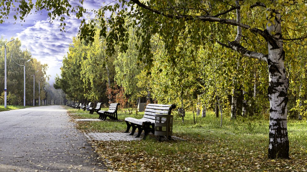 Пустынная аллея(Empty alley)