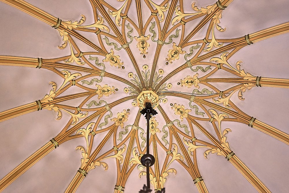 Photograph by Елена Мормоль