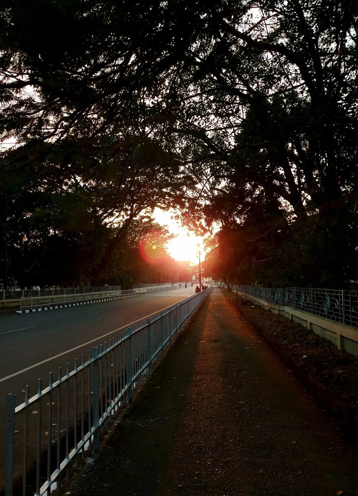 Photograph by DEEPSHIKHA KEOT