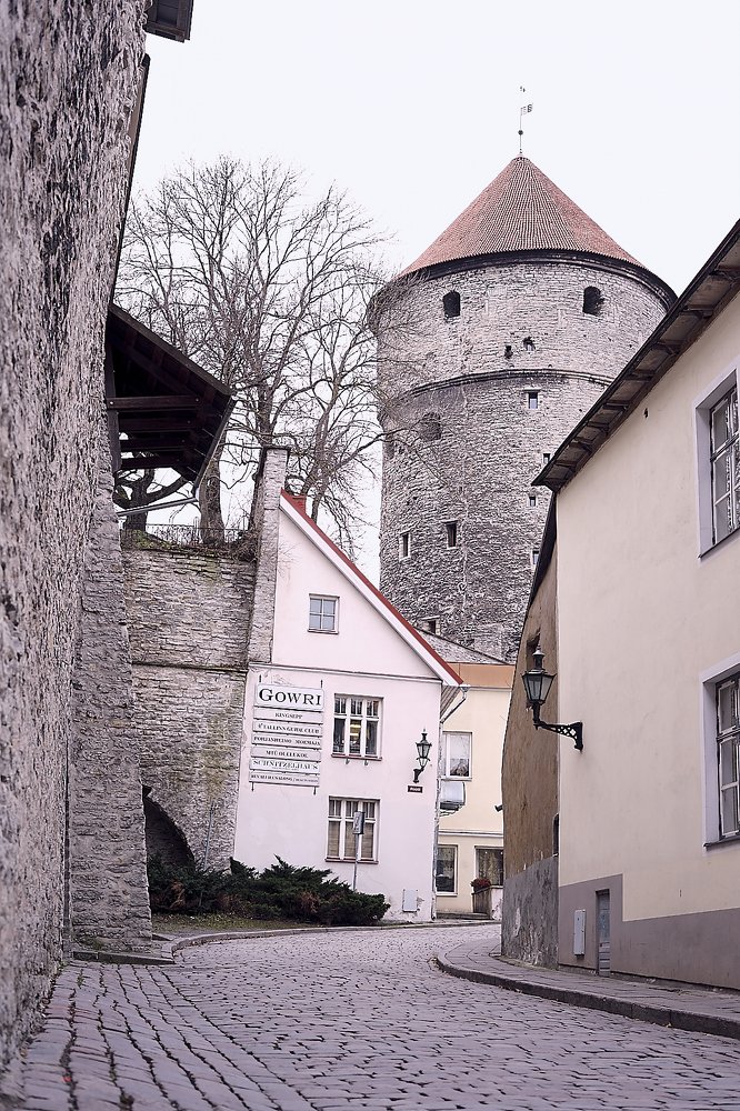 Photograph by Елена Мормоль