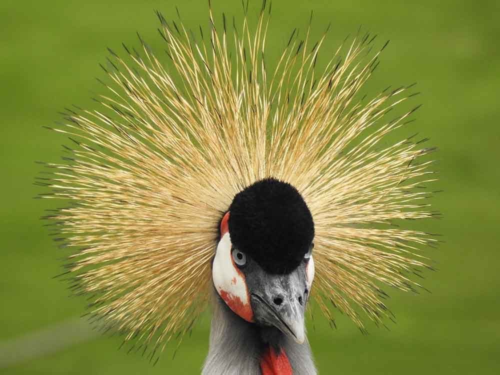 без названия