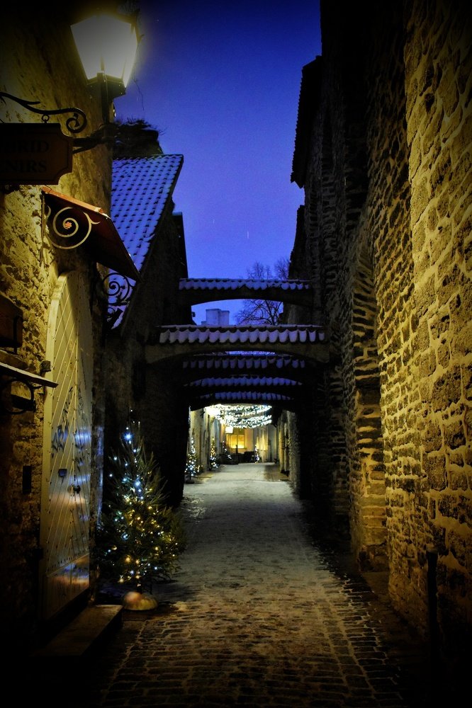 Photograph by Ija Reiman