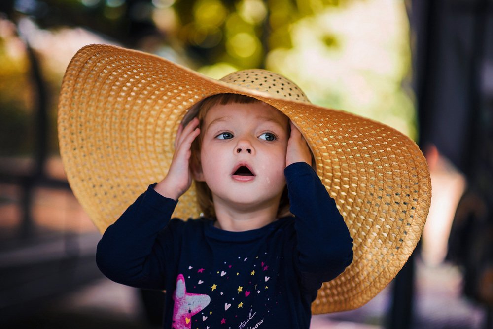 Будущая модель