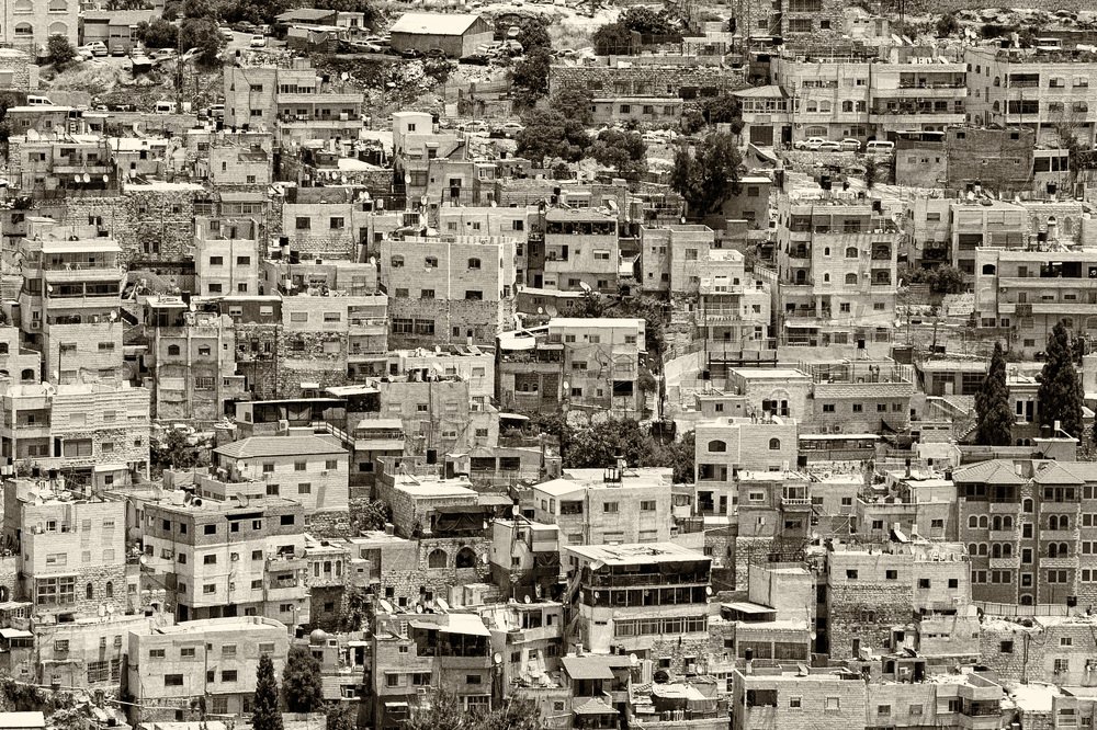 Photograph by Мария Тяпкова