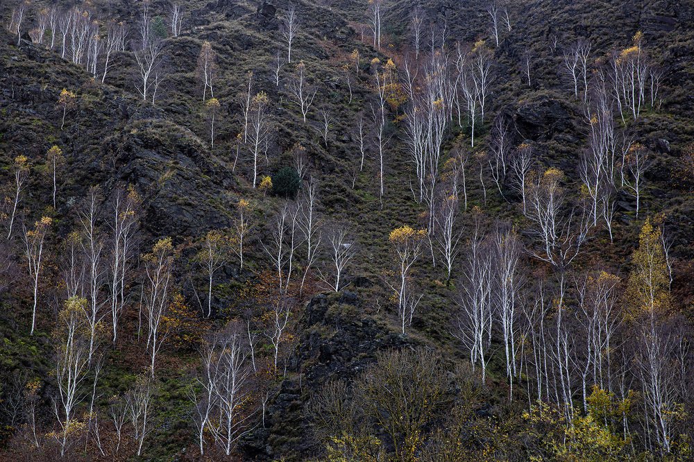 Photograph by Мария Тяпкова