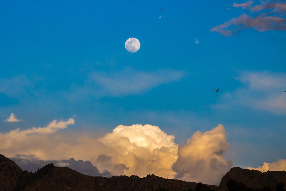 Photograph by Prasad Dalvi