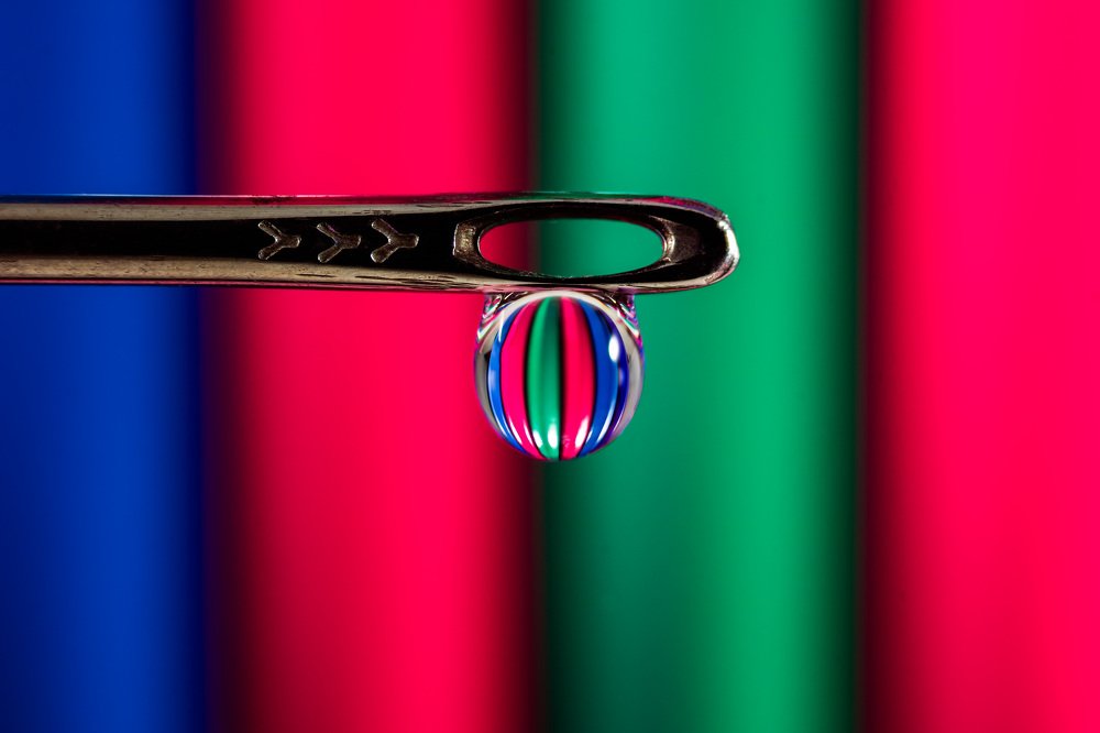 Photograph by Tamar Riabukha