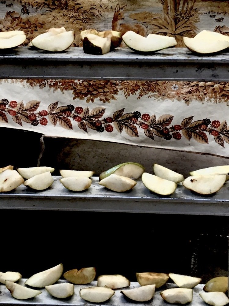 Photograph by Елена Ким