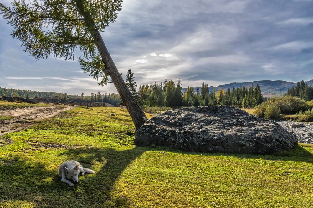 Одиночество...