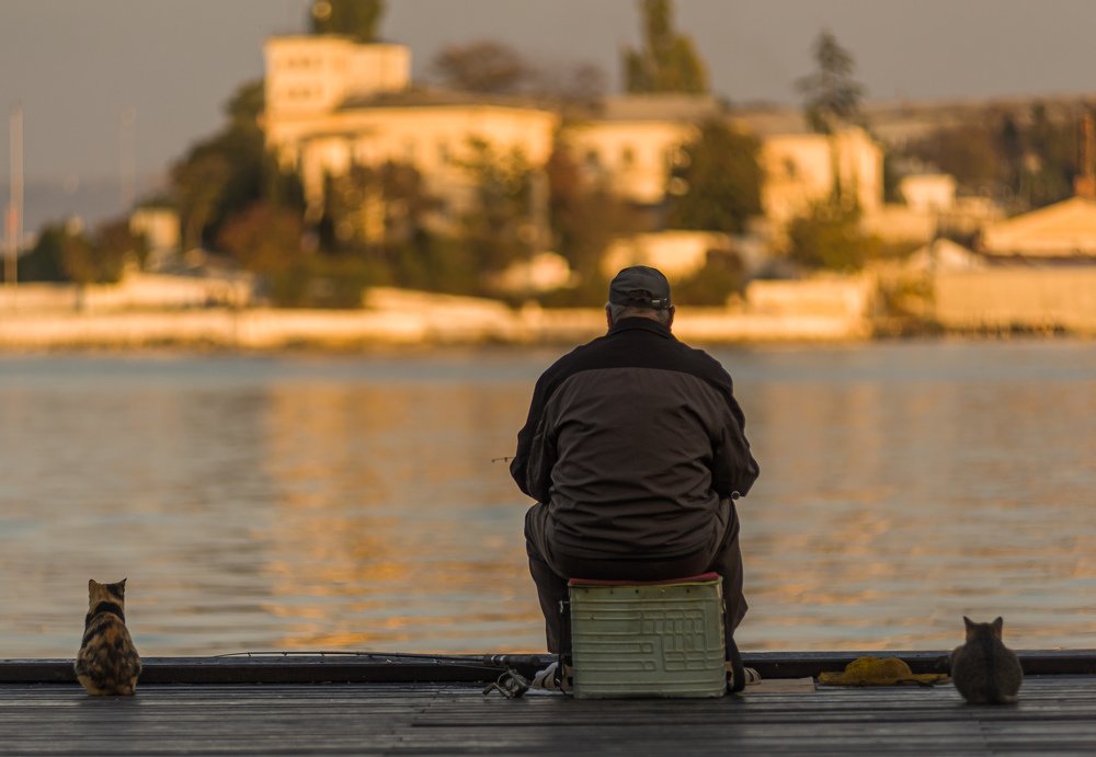 Photograph by Владимир Гавриленко