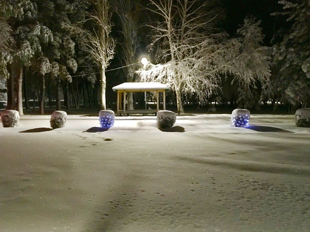 Photograph by Елена Ким