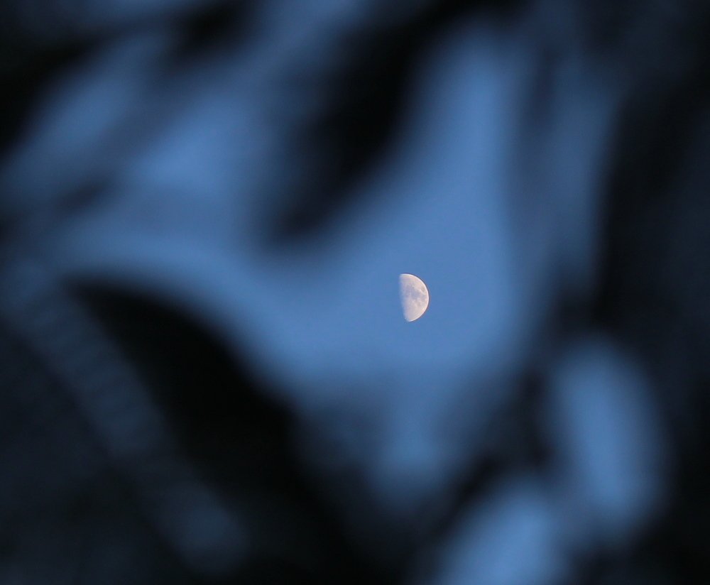 Photograph by Николай Немчанинов