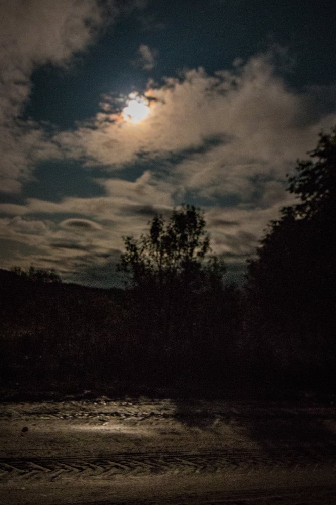 Photograph by Ольга Сафронова