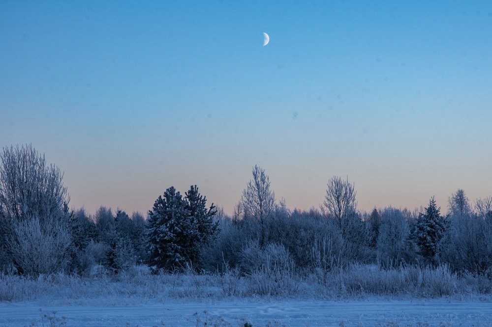 Photograph by  Максим