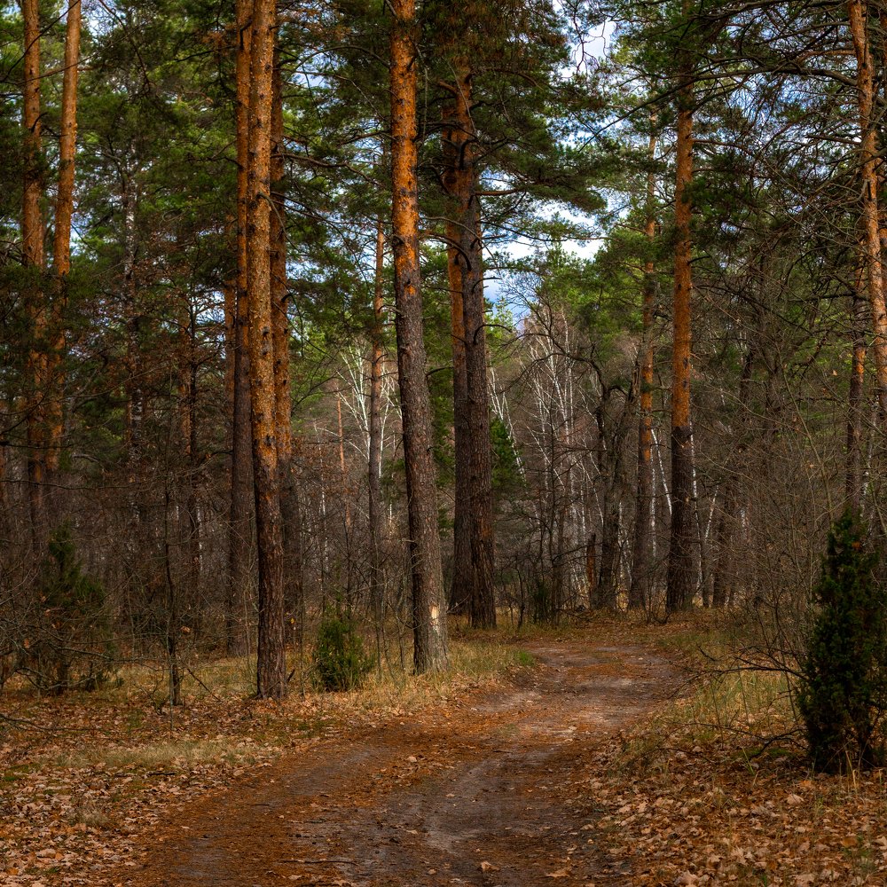 Photograph by Дмитрий Чудинин